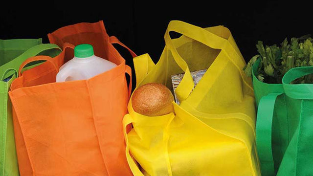 Multicoloured shopping bags with food visible within them are within a car book.