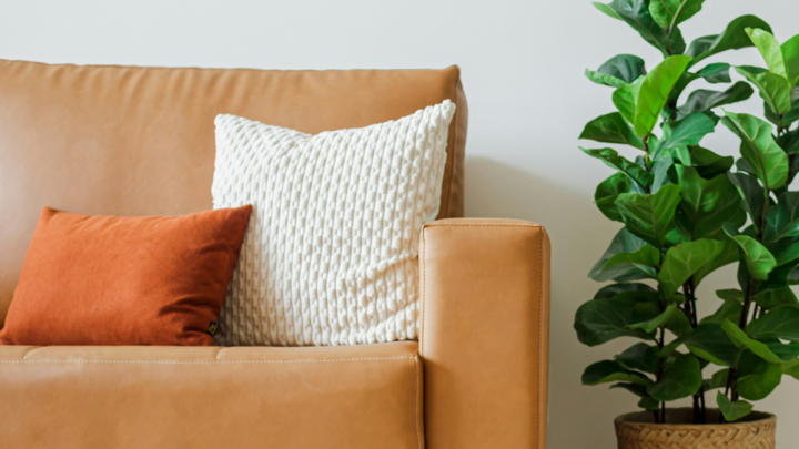 A beige sofa with cushions, on a rug, with a plant next to it.
