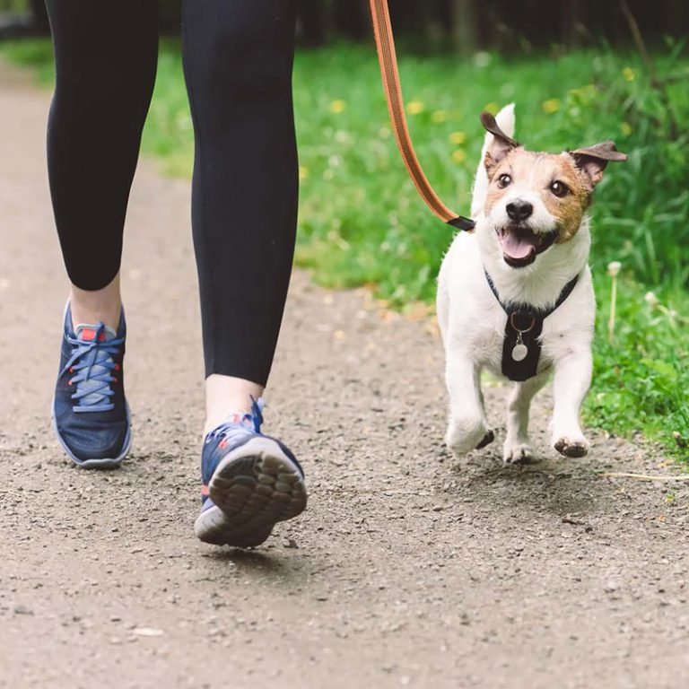 Social Bite | A Movement to End Homelessness